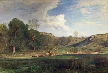 The Raincloud